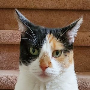 Meet your Posher, Sofia